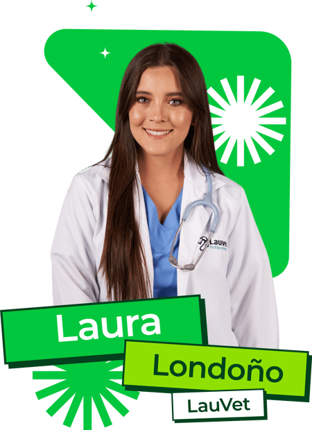 Laura-Londoño-Womento Laura-Londoño-Womento